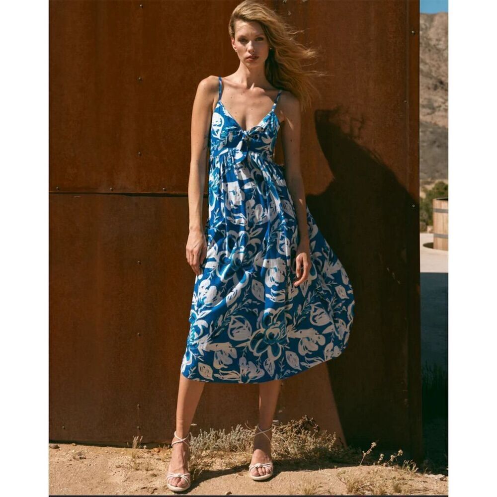 Cleobella Blue and White Ruffled Tiered Maxi Sundress